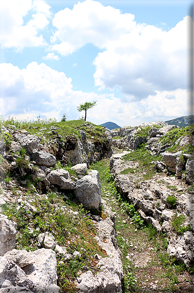 foto Trincee al Pozzo della Scala 